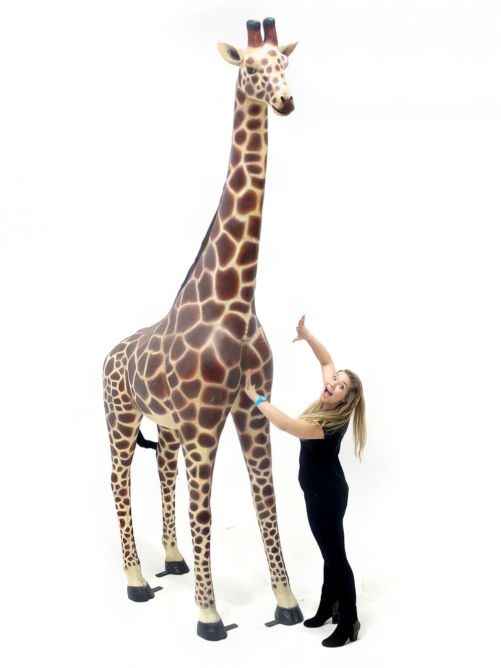 AML109_lifesize_adult_giant_giraffe_2_event_prop_hire_optimised.jpg