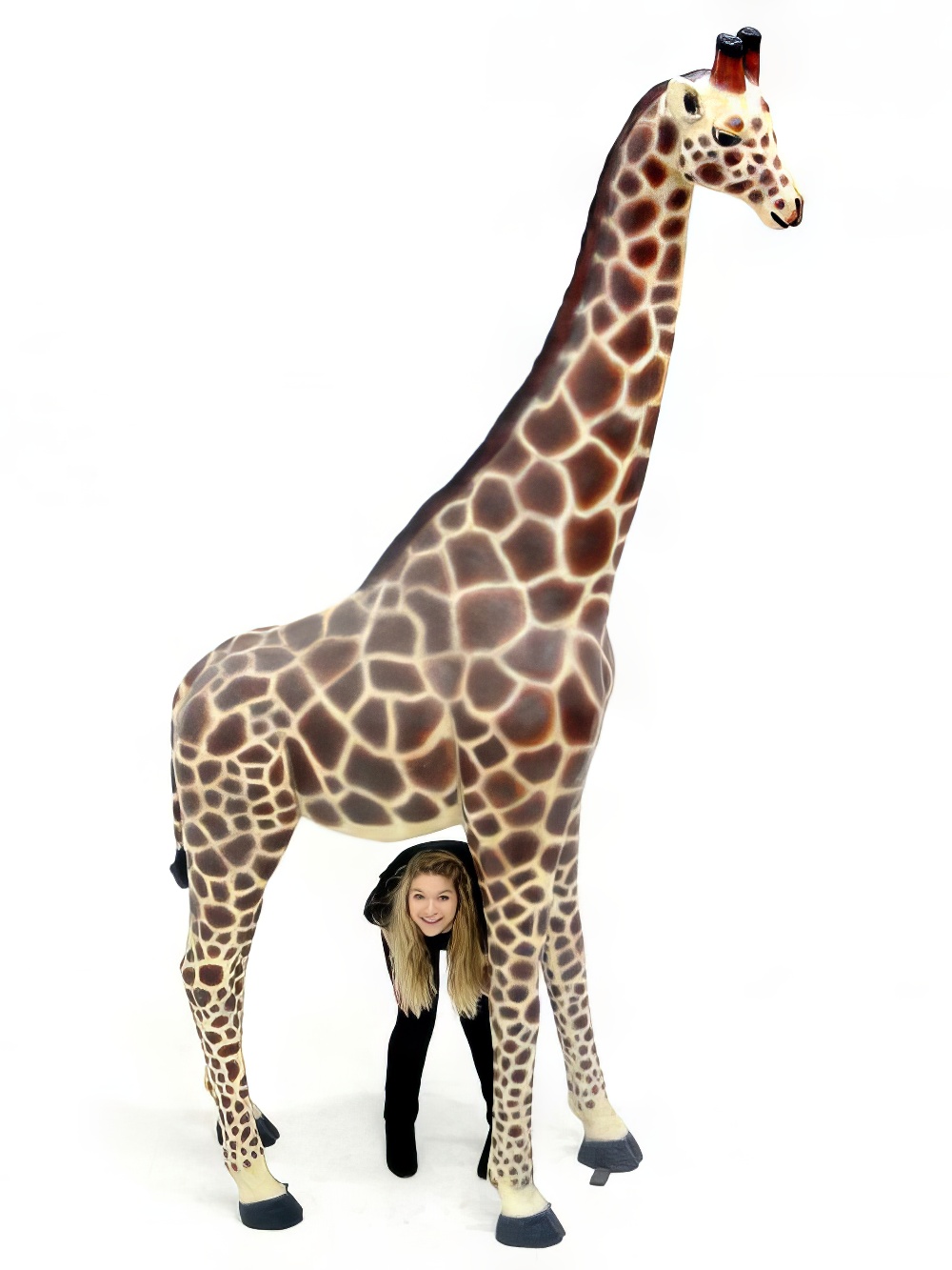 AML109_lifesize_adult_giant_giraffe_4_event_prop_hire_optimised.jpg