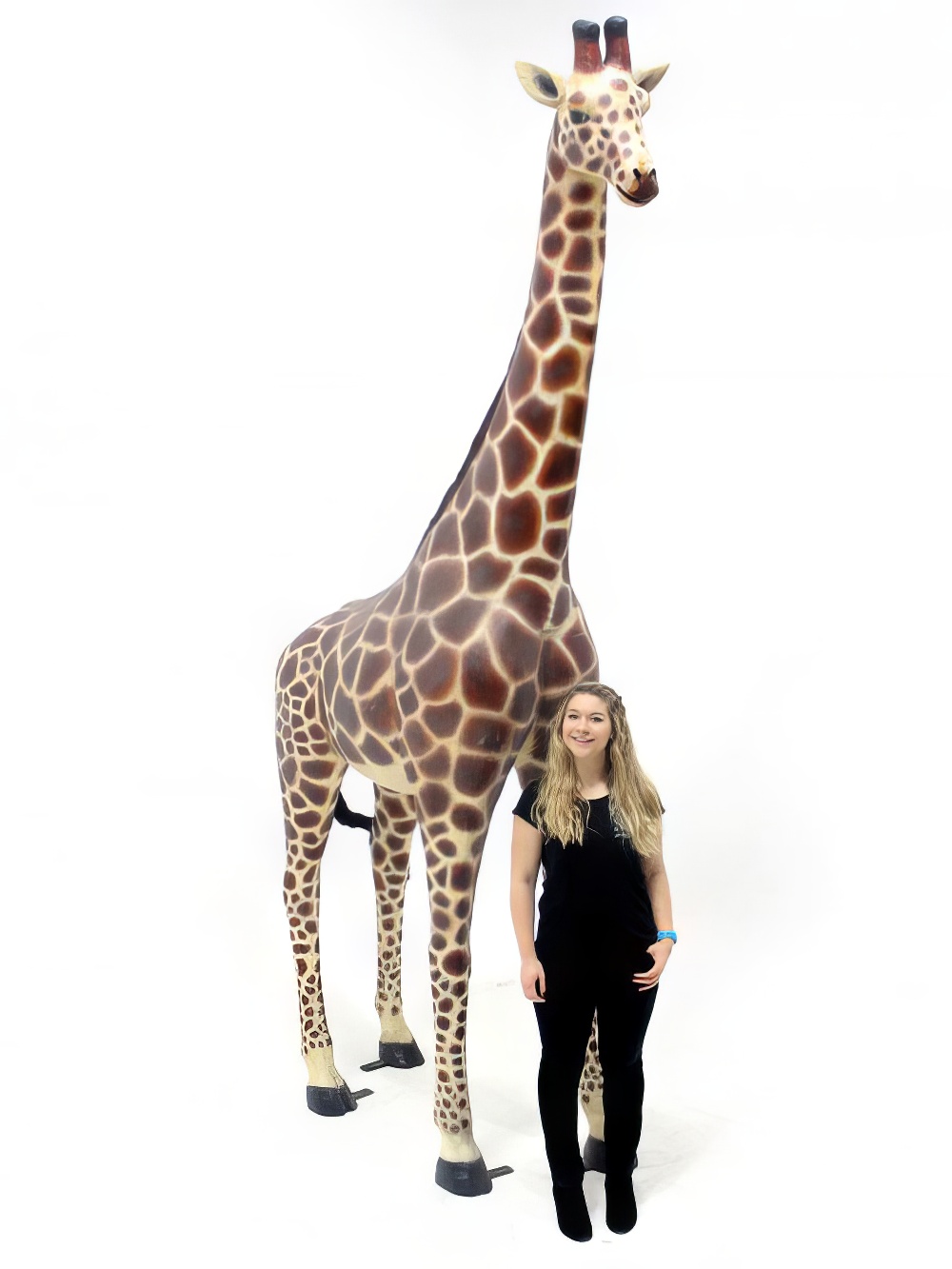 AML109_lifesize_adult_giant_giraffe_event_prop_hire_optimised.jpg