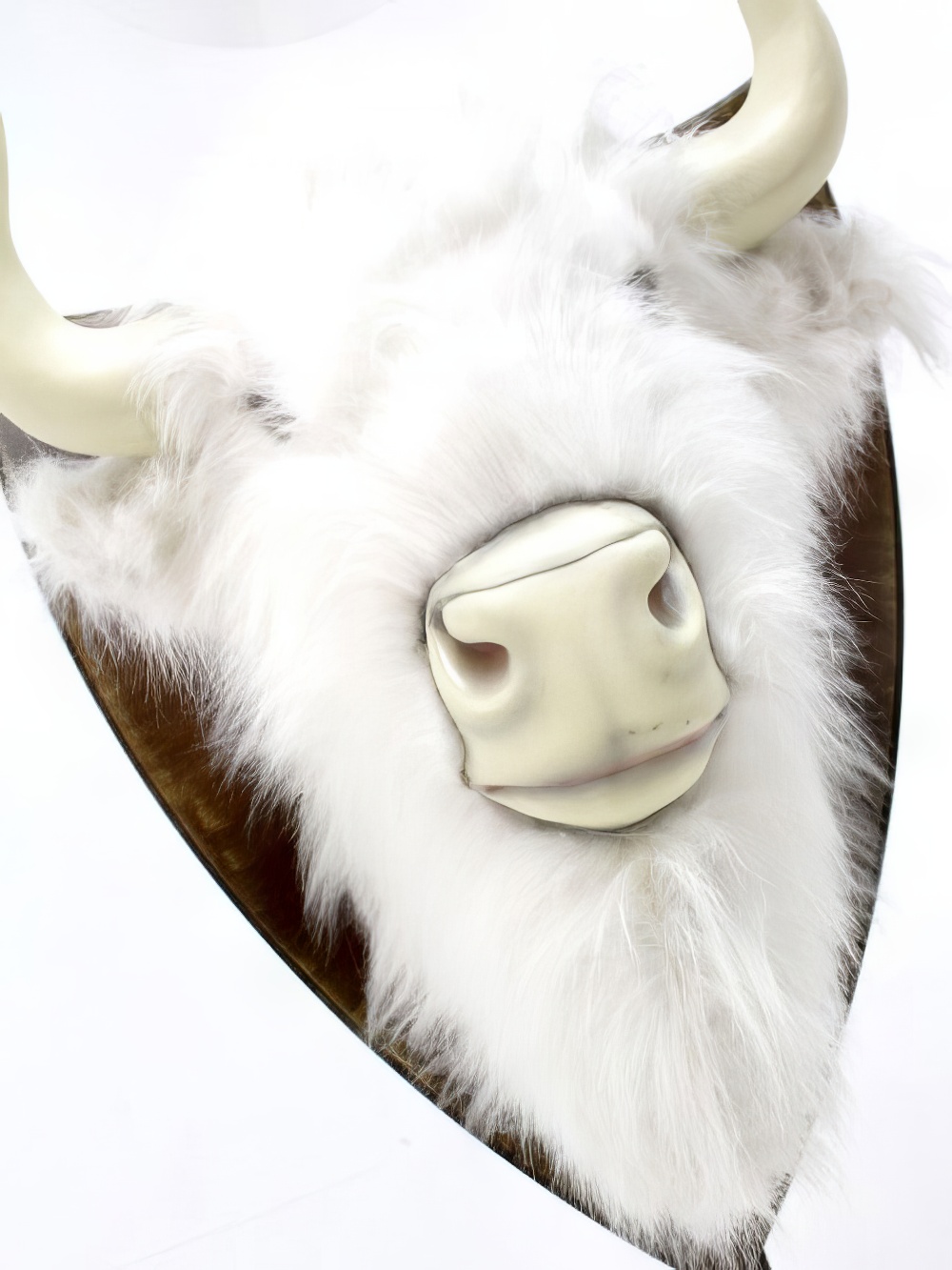 AML112_White_Bison_Head_Prop_event_prop_hire_0040_DD009_optimised.jpg