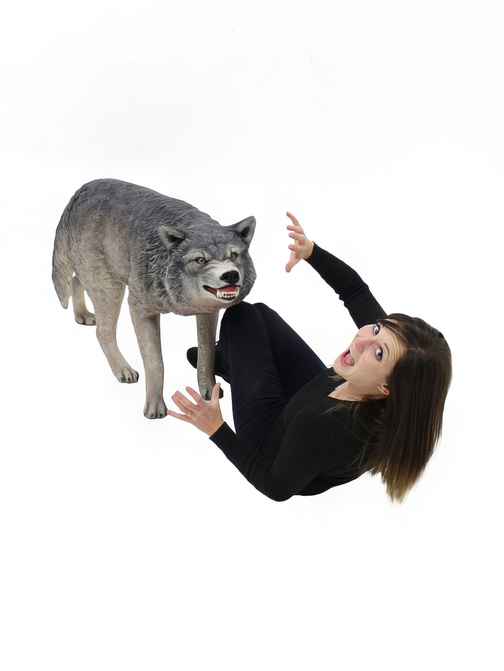 AML131_-_growling_wolf_-03-_event_prop_hire-optimised.jpg