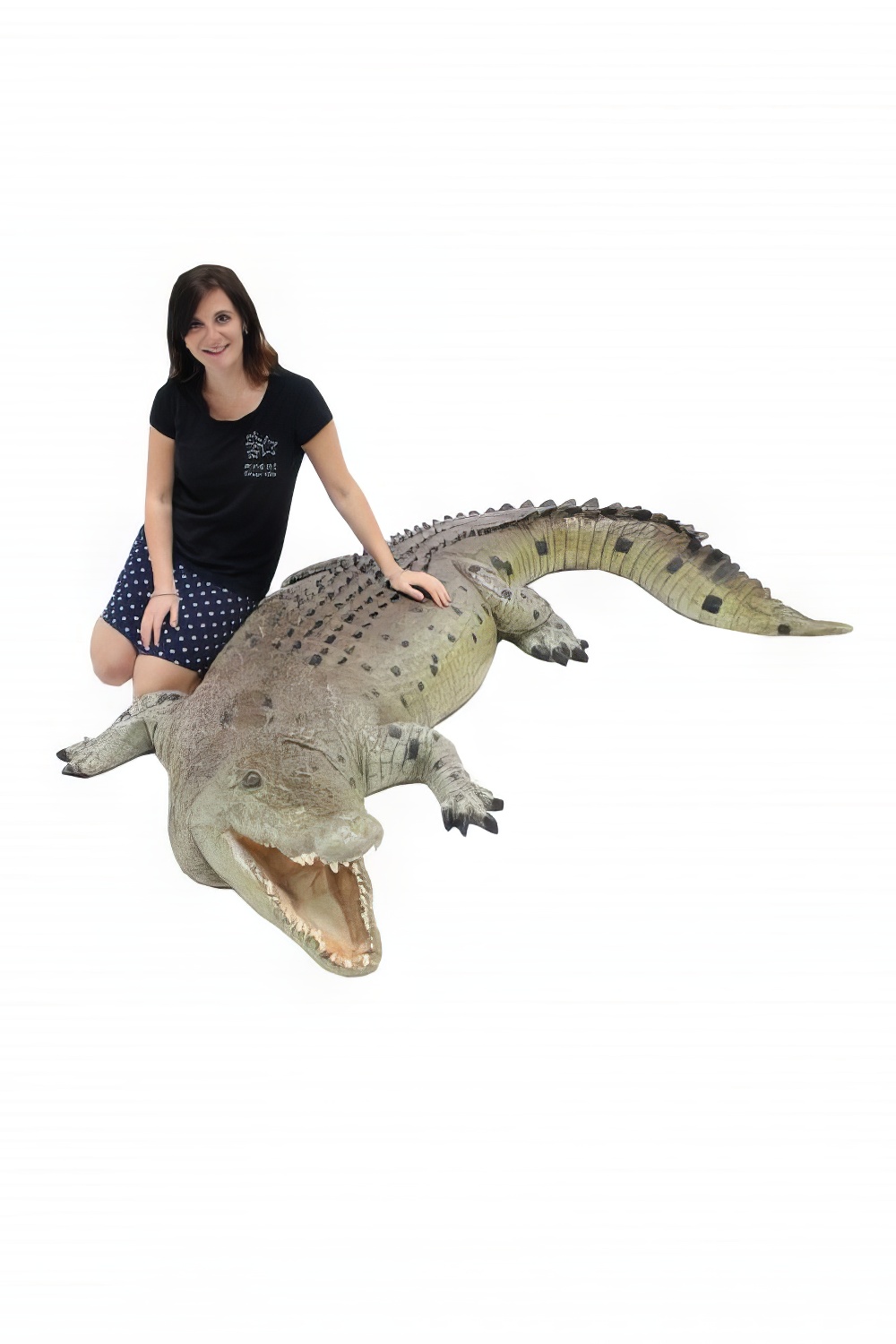 AML133_-_lifesize_crocodile_event_prop_hire_12_edited.jpg