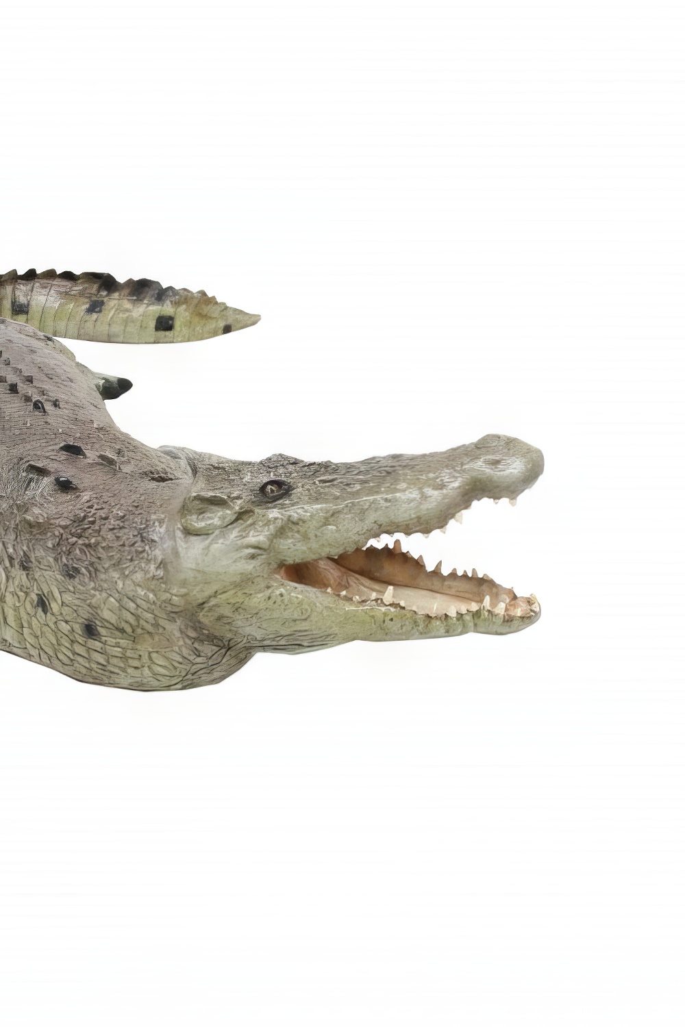 AML133_-_lifesize_crocodile_event_prop_hire_16_edited.jpg