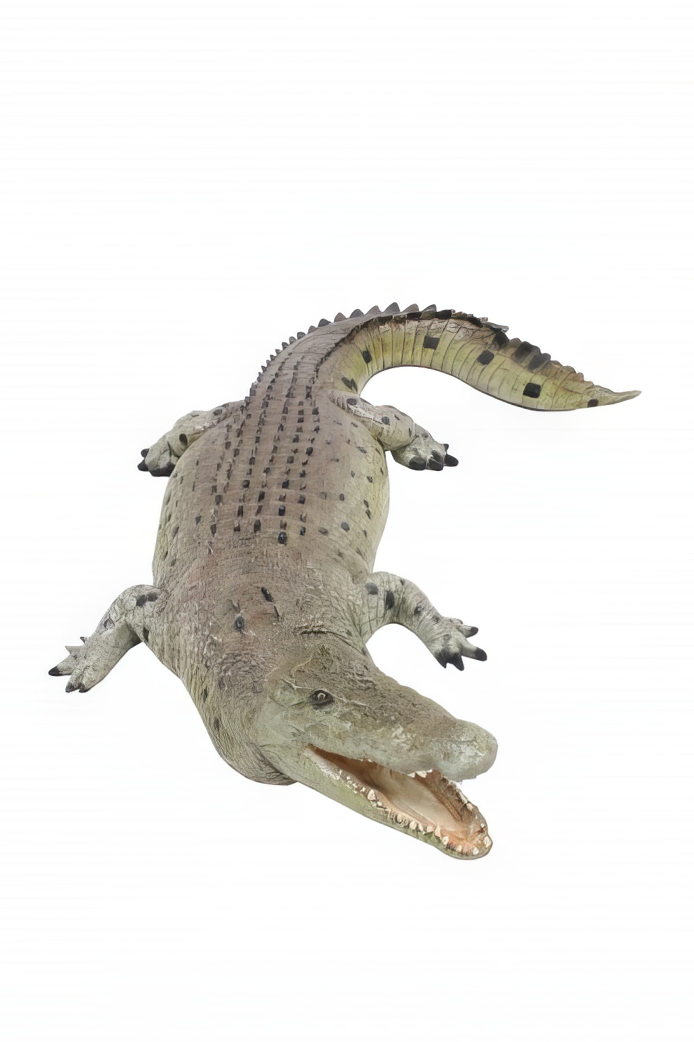 AML133_-_lifesize_crocodile_event_prop_hire_2_edited.jpg