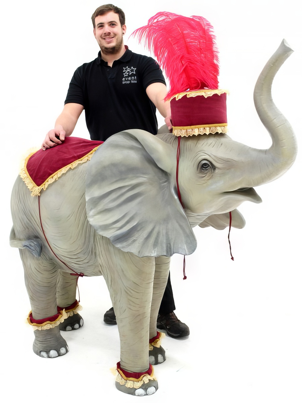 AML141_Decorative_Elephant_Prop_event_prop_hire_0079_DD504_optimised.jpg
