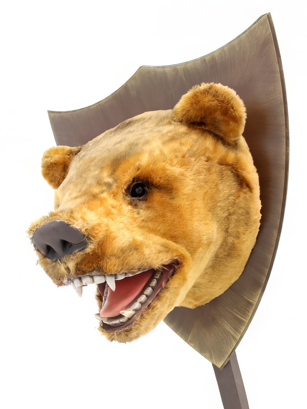 AML18_Bear_Head_Prop_event_prop_hire_0047SW_274_copy_optimised.jpg