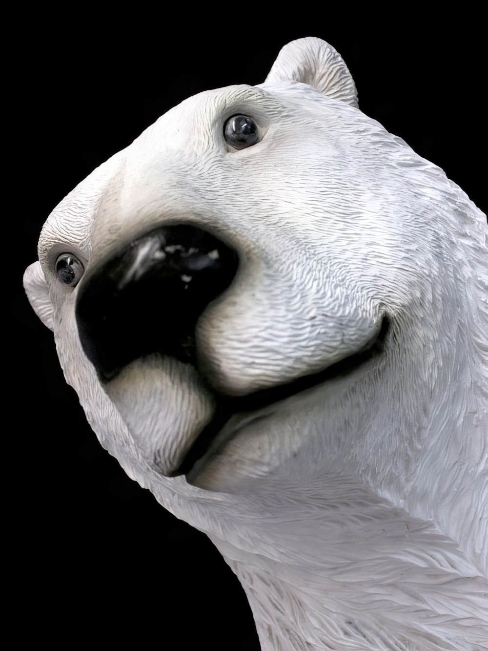 AML47_Life-size_Polar_Bear_event_prop_hire_0060IMG_7084_copy.jpg