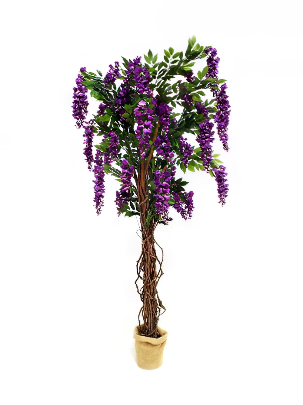 SCN164_Wisteria_Tree_Purple_event_prop_hire_0044Wisteria_Purple_copy_optimised.jpg