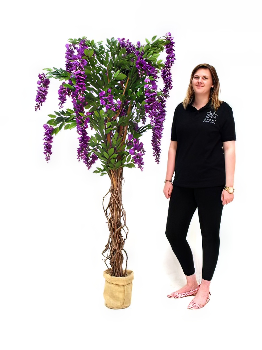 SCN164_Wisteria_Tree_Purple_event_prop_hire_0045SW_411_copy_optimised.jpg