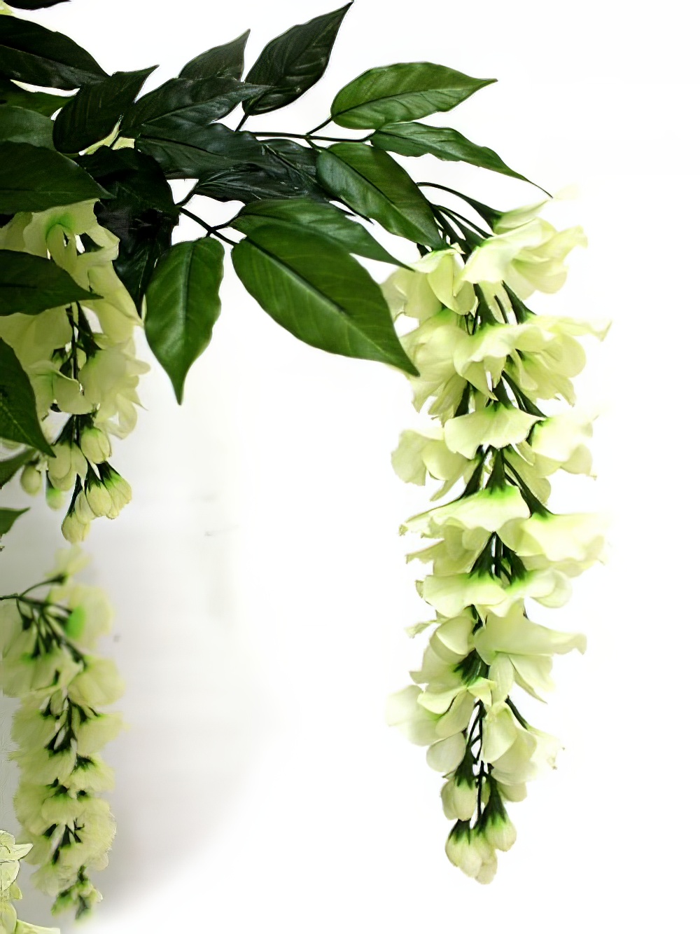 SCN165_Wisteria_Tree_Cream_event_prop_hire_0046IMG_3065_copy_optimised.jpg