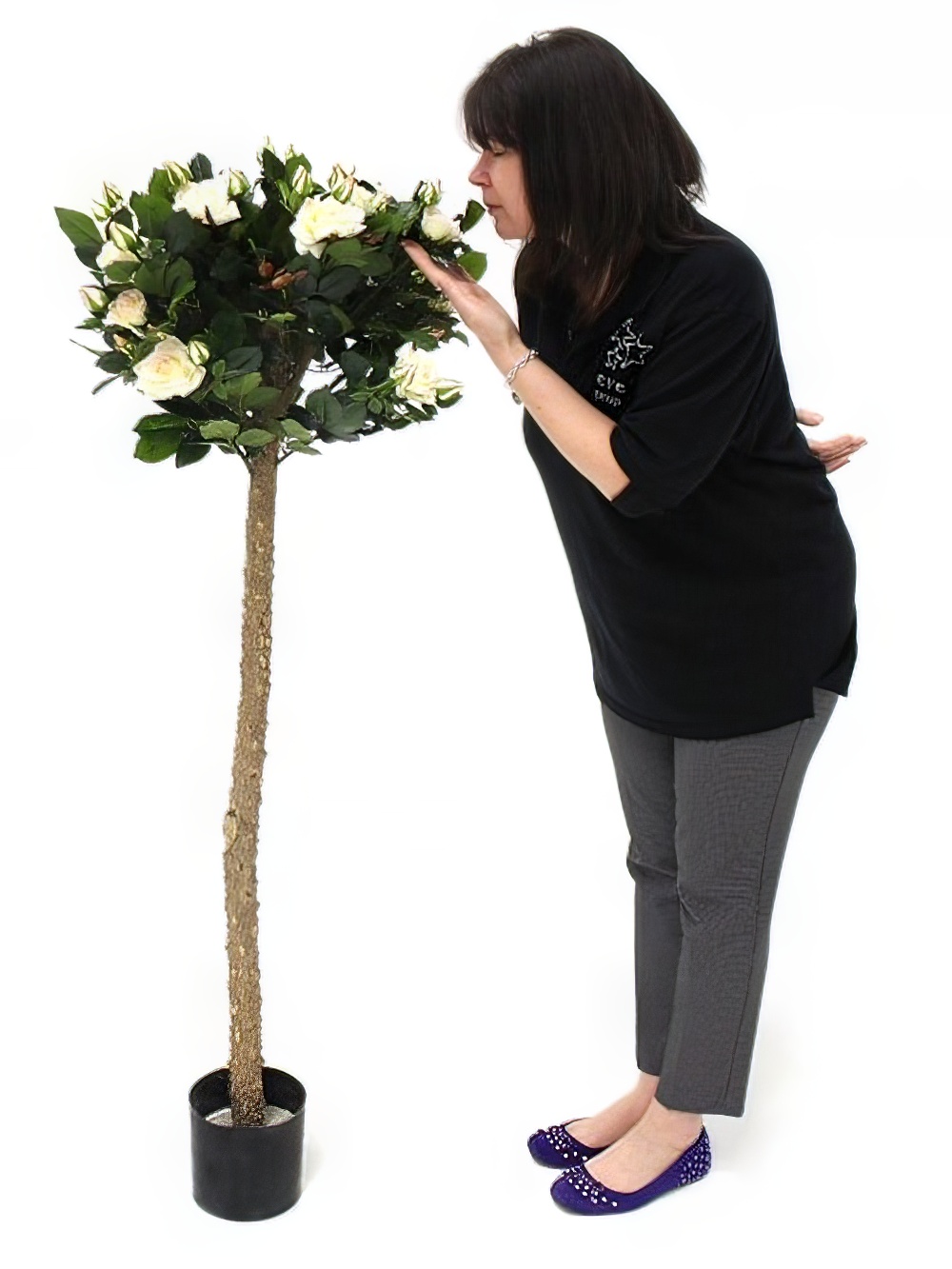 SCN167_-_rose_tree_-_cream_-_01-_event_prop_hire-optimised.jpg