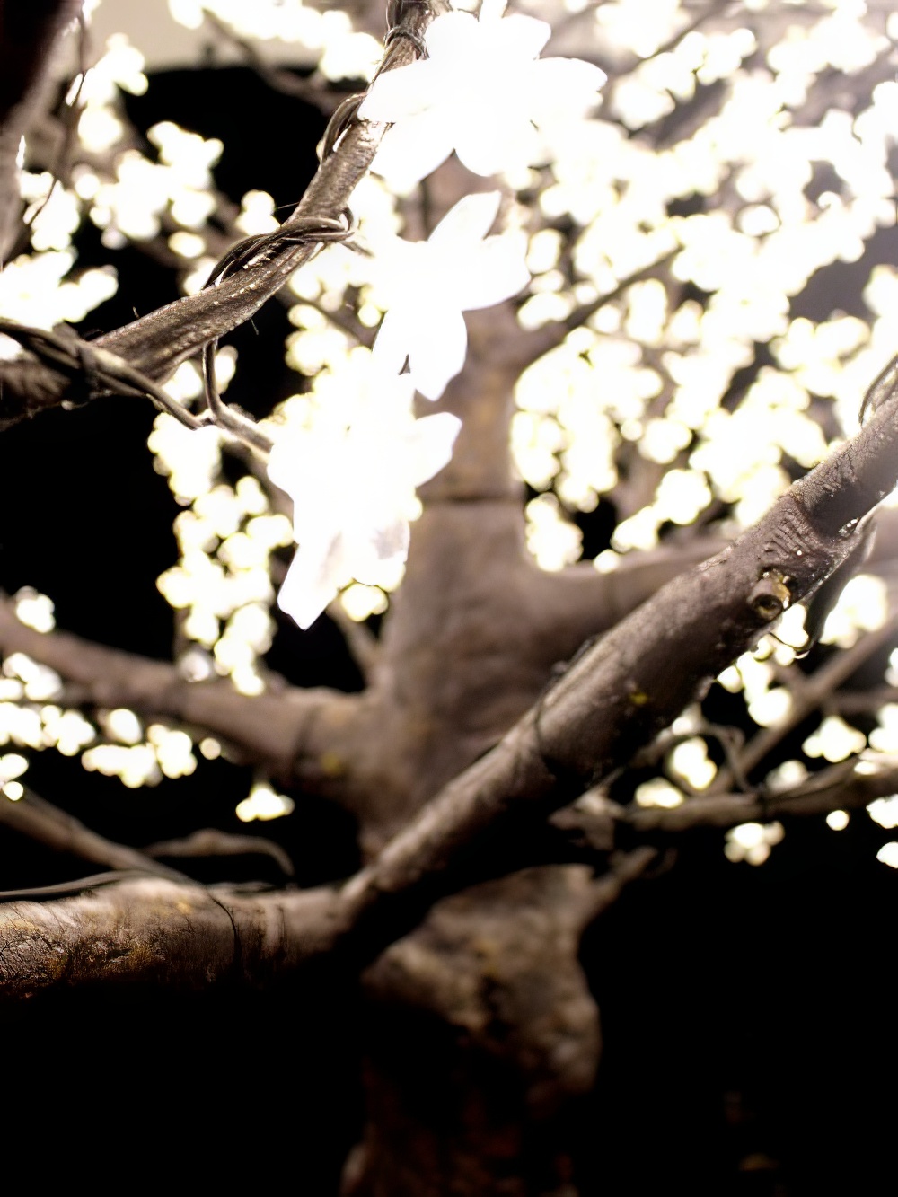 SCN222_Giant_LED_Blossom_Tree_event_prop_hire_0019_DD411_optimised.jpg