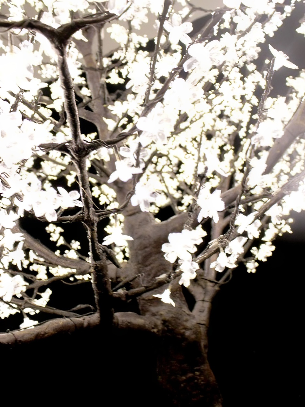 SCN222_Giant_LED_Blossom_Tree_event_prop_hire_0020_DD412_optimised.jpg
