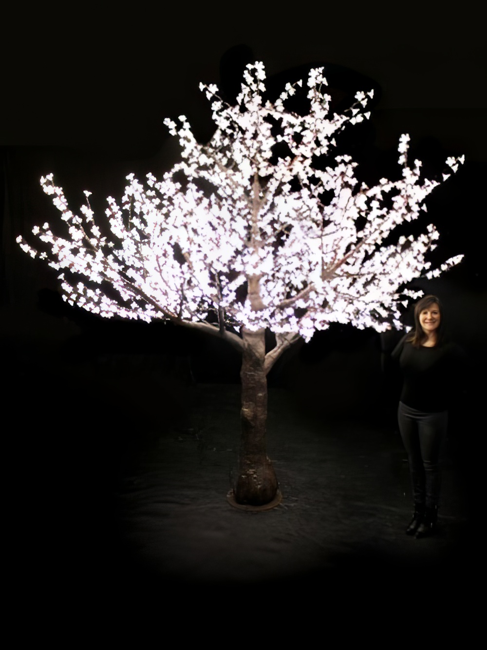 SCN222_Giant_LED_Blossom_Tree_event_prop_hire_0021_DD415_optimised.jpg
