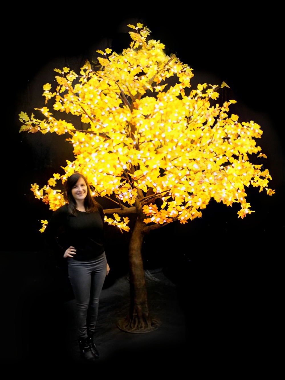 SCN224_Giant_LED_Maple_Leaf_Tree_event_prop_hire_0018_DD414_optimised.jpg