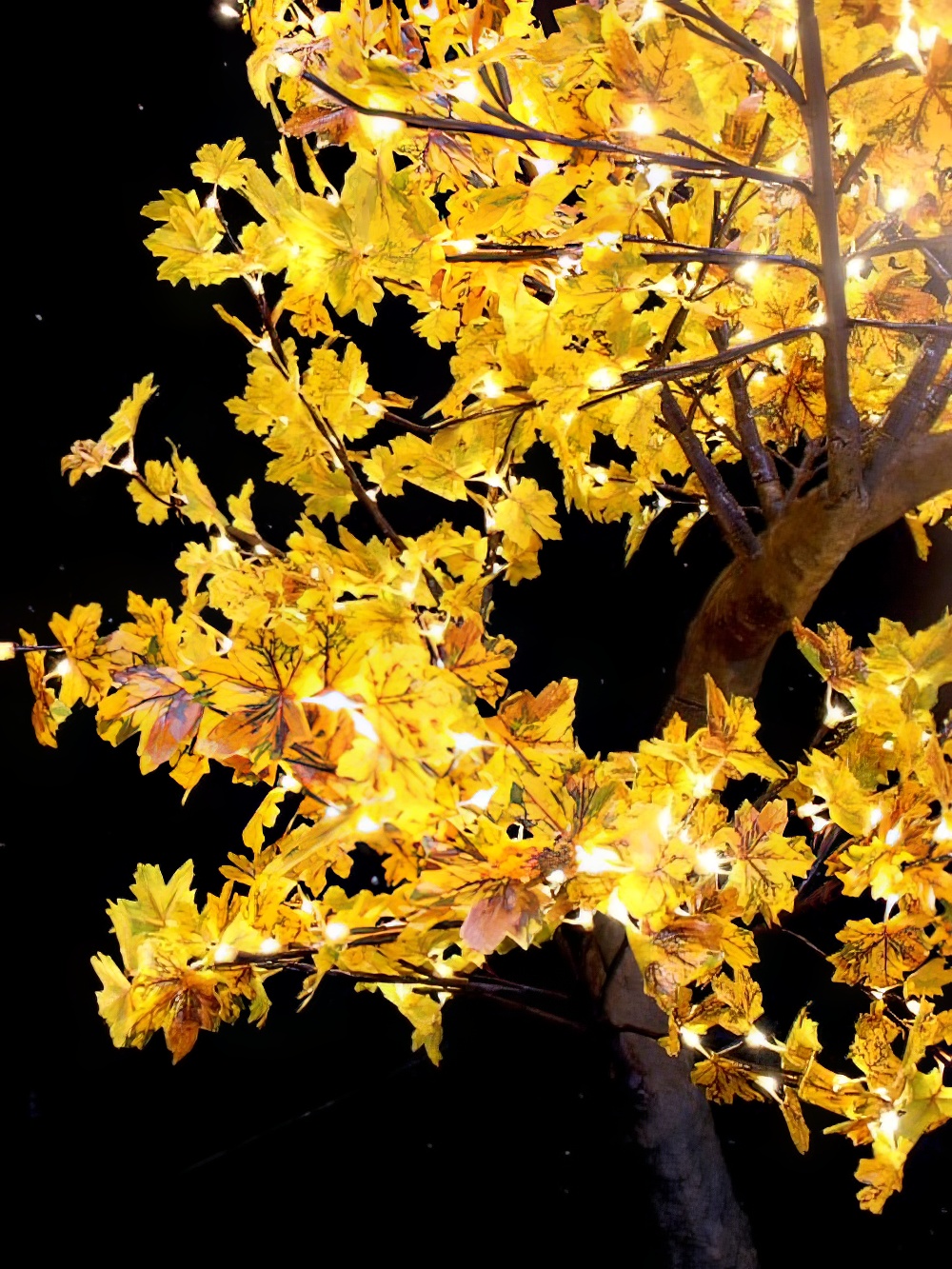 SCN225_Large_LED_Maple_Leaf_Tree_event_prop_hire_0004_DD423_optimised.jpg