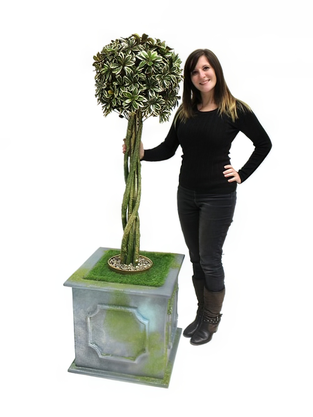 SCN233_-_Topiary_tree_with_mosspot_event_prop_hire_5_-_opt.jpg