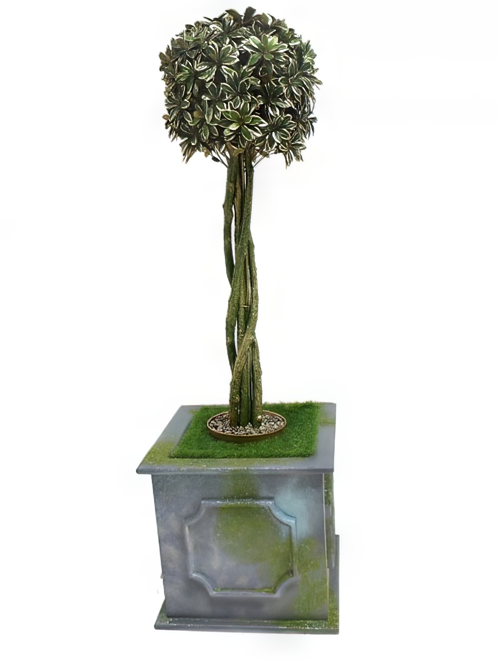 SCN233_-_Topiary_tree_with_mosspot_event_prop_hire_6_-_opt.jpg