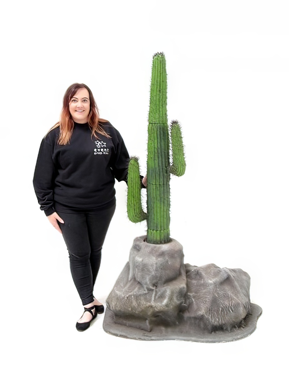 SCN27_Cactus_Rockevent_prop_hire_LG_1537_copy.jpg