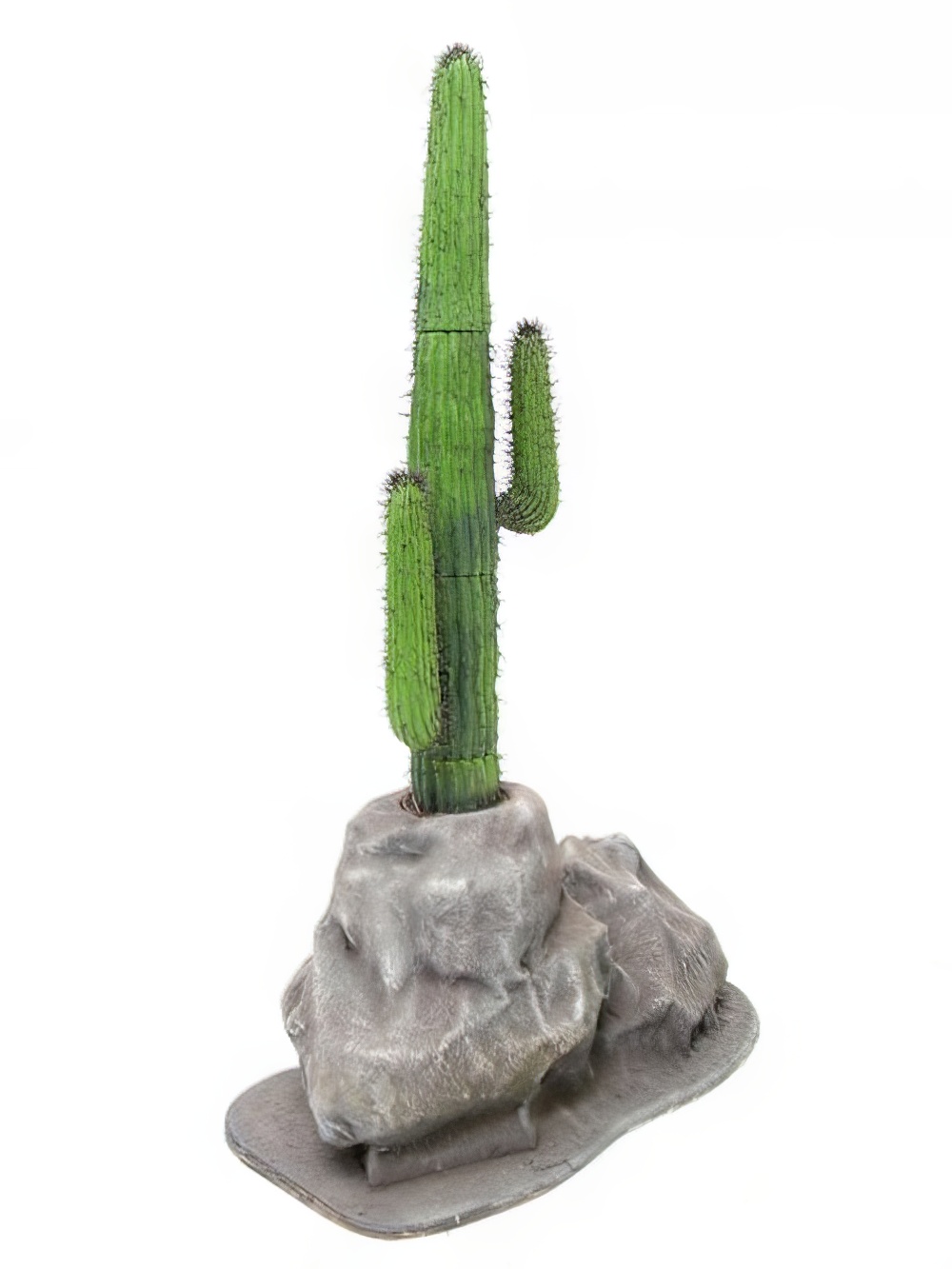 SCN27_Cactus_Rockevent_prop_hire_LG_1538_copy.jpg