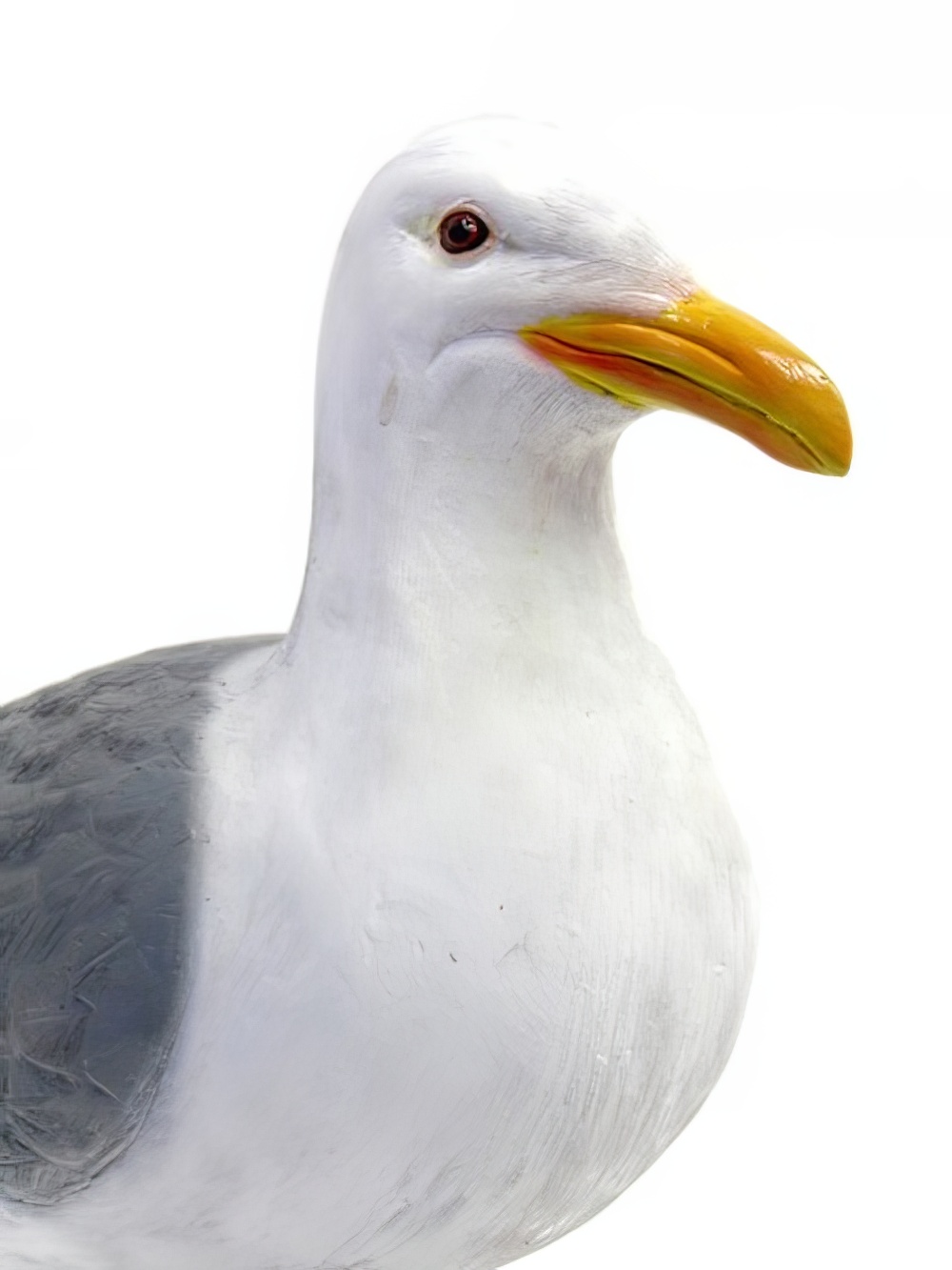SN1078_Seagull_on_mooring_bollard_event_prop_hire_0099_DD125_optimised.jpg