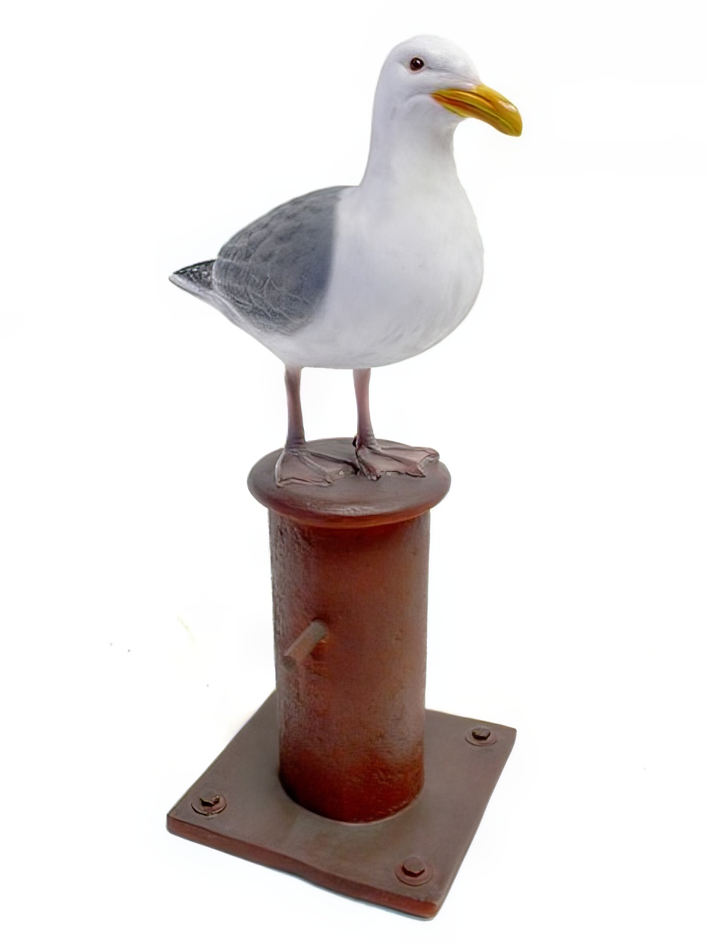 SN1078_Seagull_on_mooring_bollard_event_prop_hire_0100_DD126_optimised.jpg