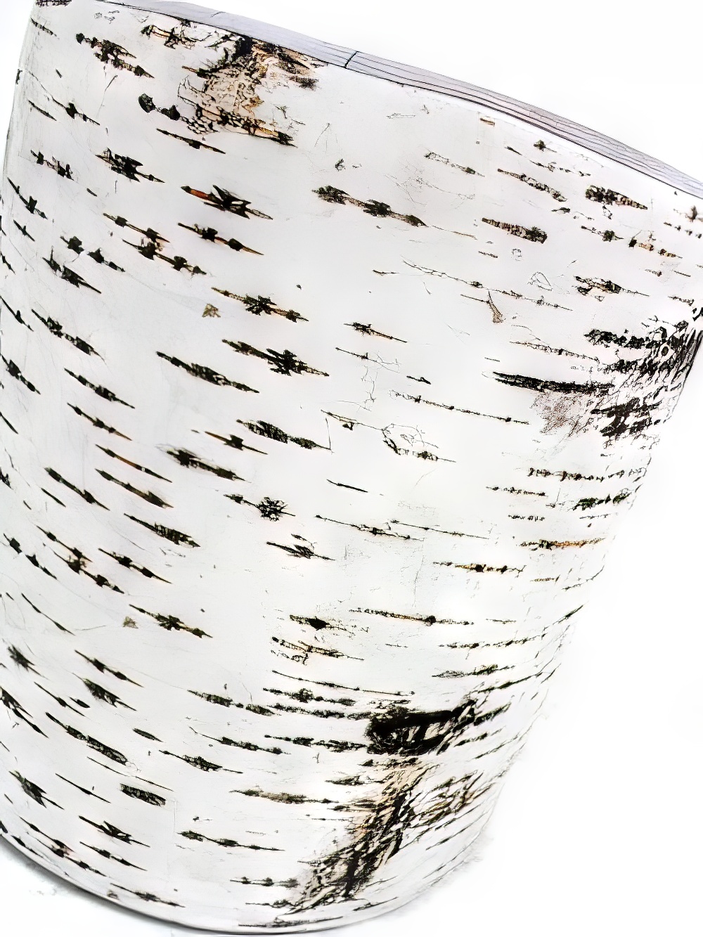 SN1245_Birch_Bark_Effect_Soft_Stool_event_prop_hire_0048LG_526_copy.jpg
