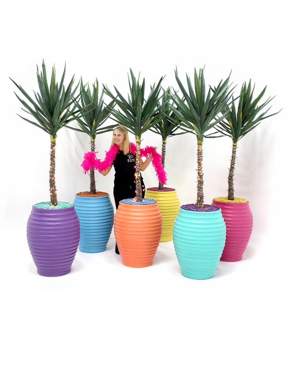 SN1868_SN1869_SN1870_SN1871_SN1872_SN1873_Carnival_Yukka_Plant_event_prop_hire_0024IMG_0150_copy_optimised.jpg