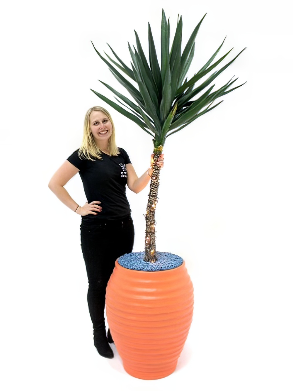 SN1869_Carnival_Yukka_Plant_-_Orange_event_prop_hire_0011IMG_0134_copy_optimised.jpg