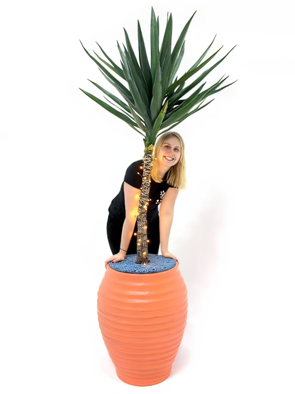 SN1869_Carnival_Yukka_Plant_-_Orange_event_prop_hire_0012IMG_0136_copy_optimised.jpg