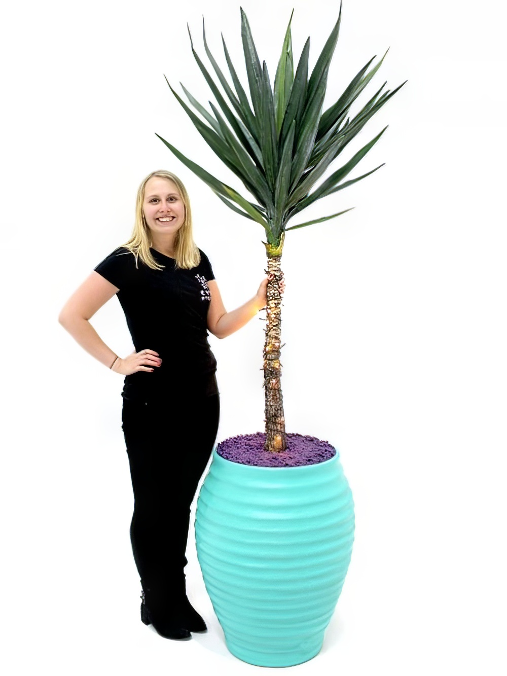 SN1872_Carnival_Yukka_Plant_-_Green_event_prop_hire_0019IMG_0137_copy_optimised.jpg