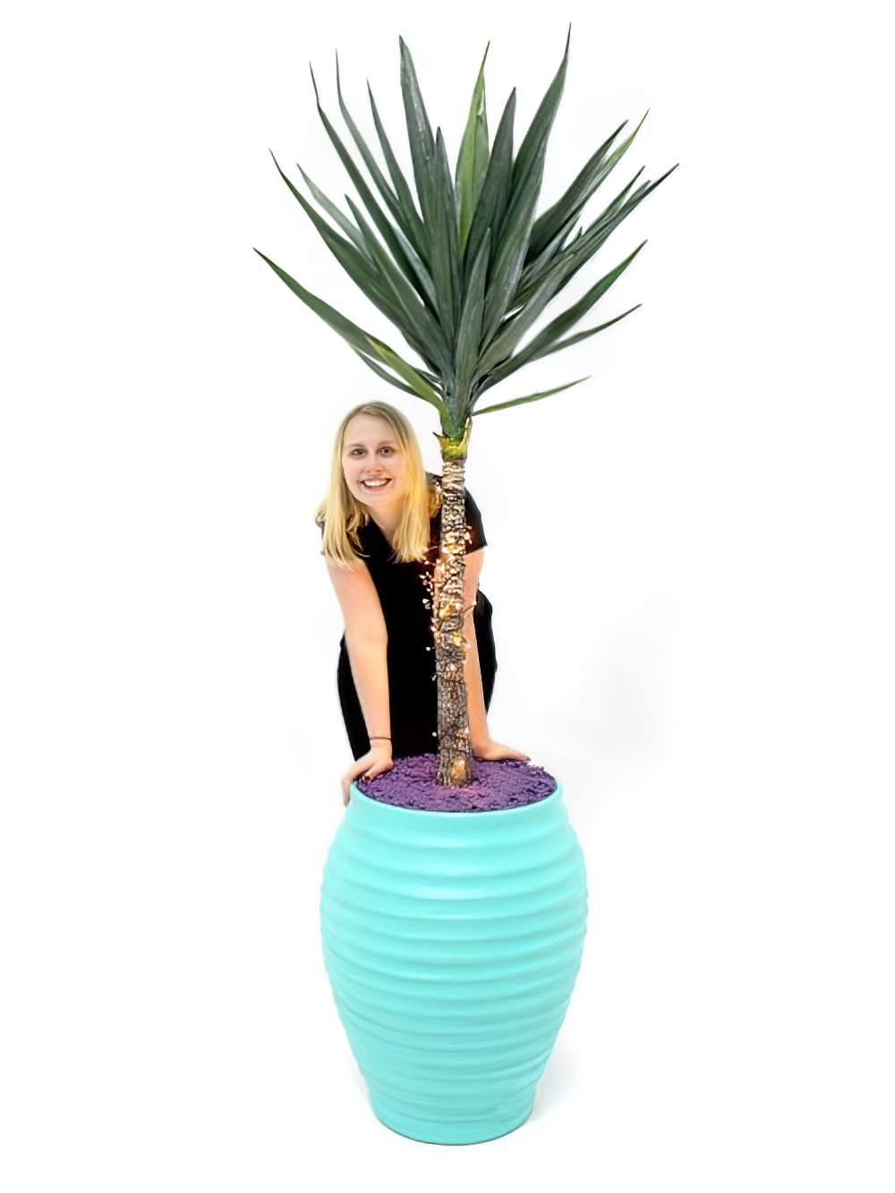 SN1872_Carnival_Yukka_Plant_-_Green_event_prop_hire_0020IMG_0140_copy_optimised.jpg