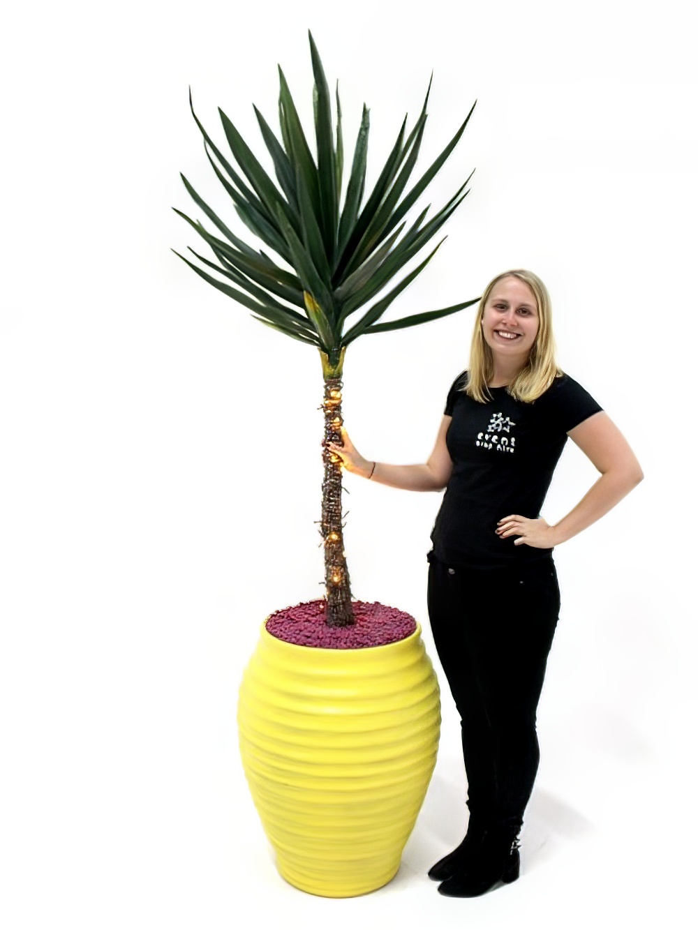 SN1872_Carnival_Yukka_Plant_-_Yellow_event_prop_hire_0013IMG_0118_copy_optimised.jpg