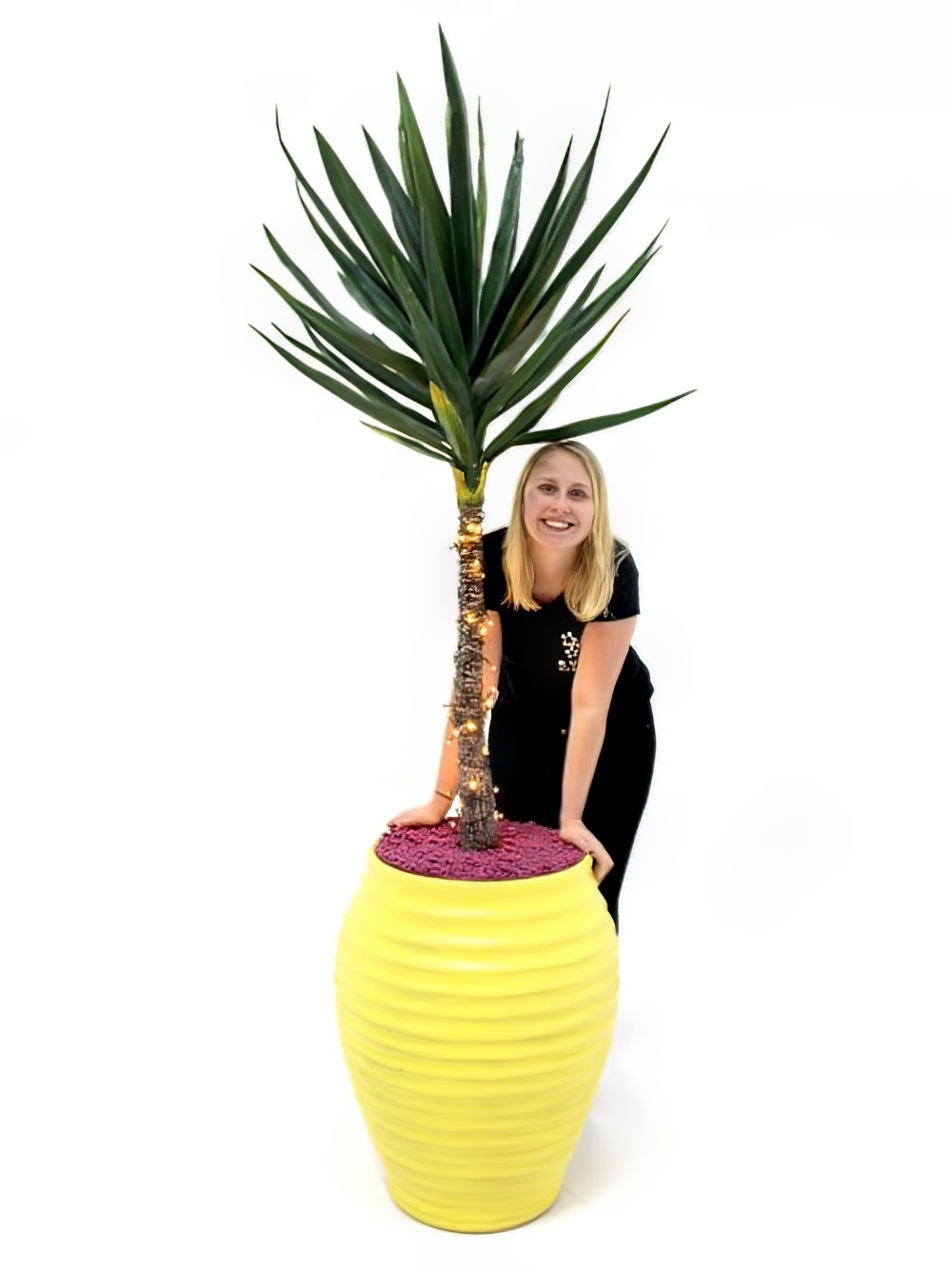 SN1872_Carnival_Yukka_Plant_-_Yellow_event_prop_hire_0014IMG_0121_copy_optimised.jpg