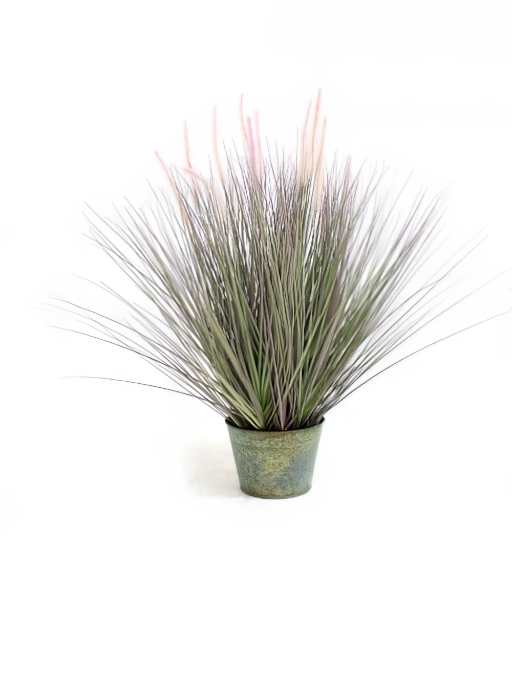 SN2003_Dogtail_Grass_Small_event_prop_hire_0060SW_363_copy_optimised.jpg
