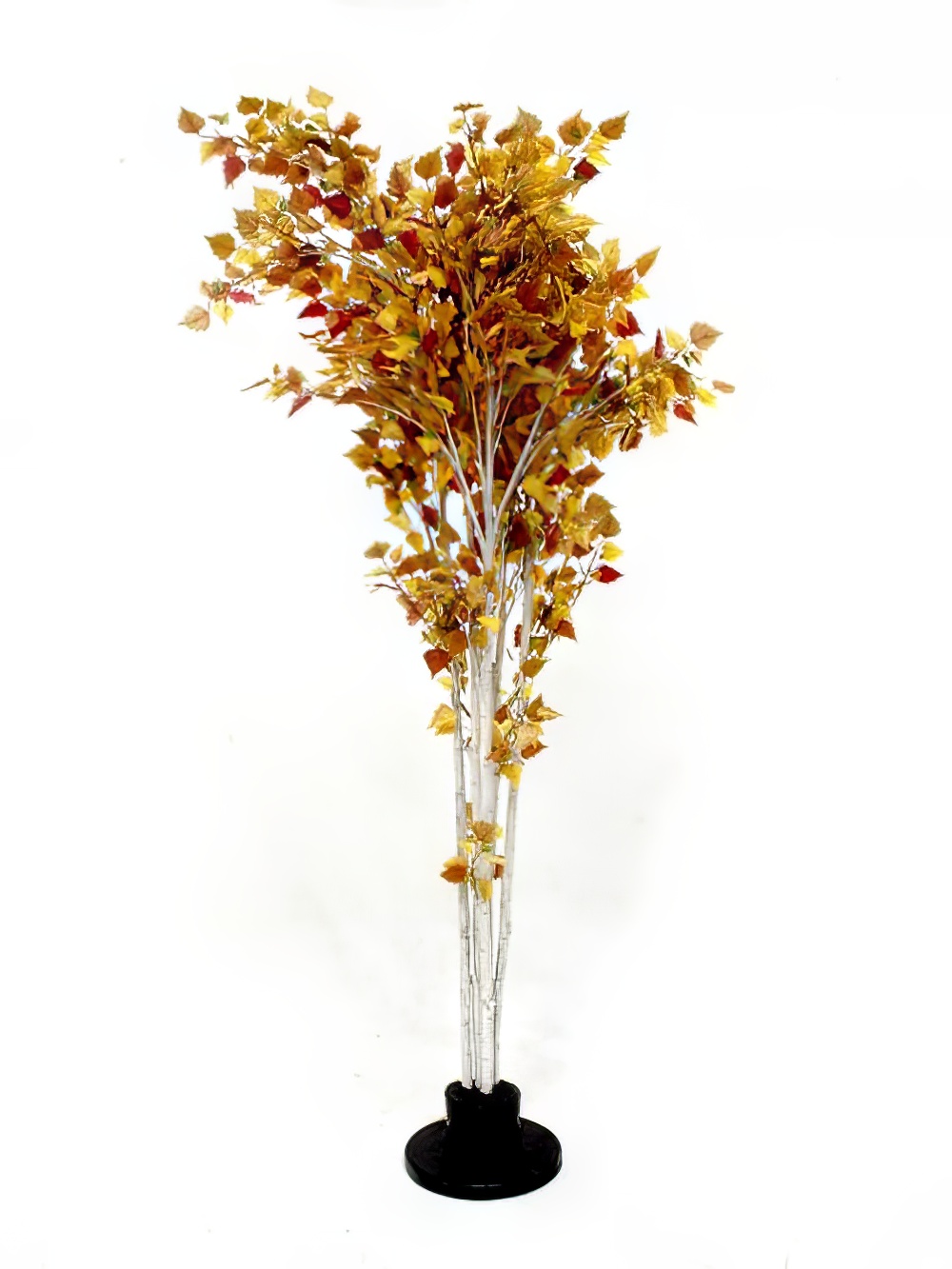 SN2053_Autumn_Birch_Tree_-_9ft_event_prop_hire_0004LG_074_copy