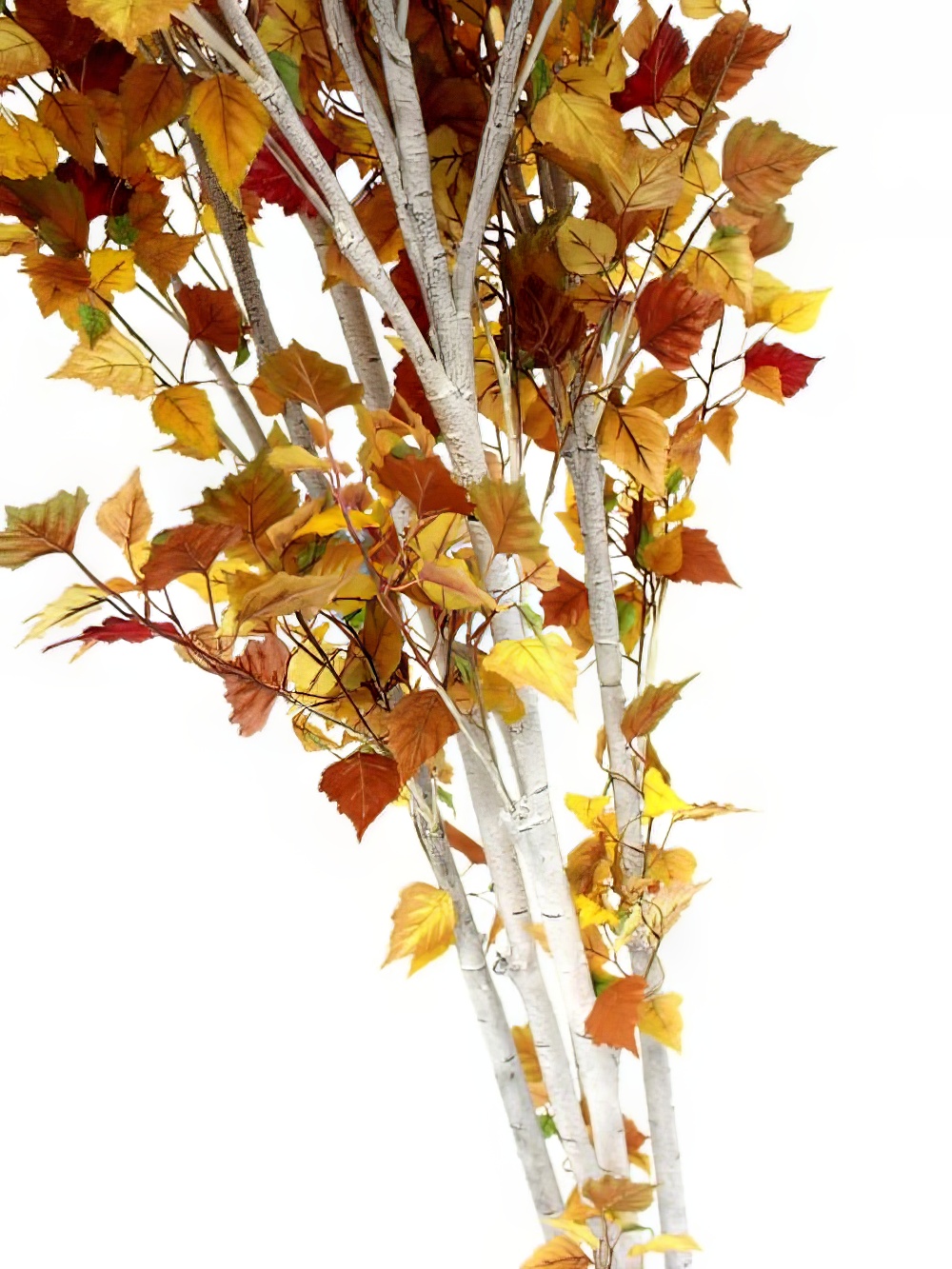SN2053_Autumn_Birch_Tree_-_9ft_event_prop_hire_0005LG_075_copy
