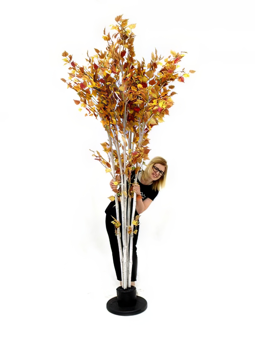 SN2053_Autumn_Birch_Tree_-_9ft_event_prop_hire_0006LG_079_copy