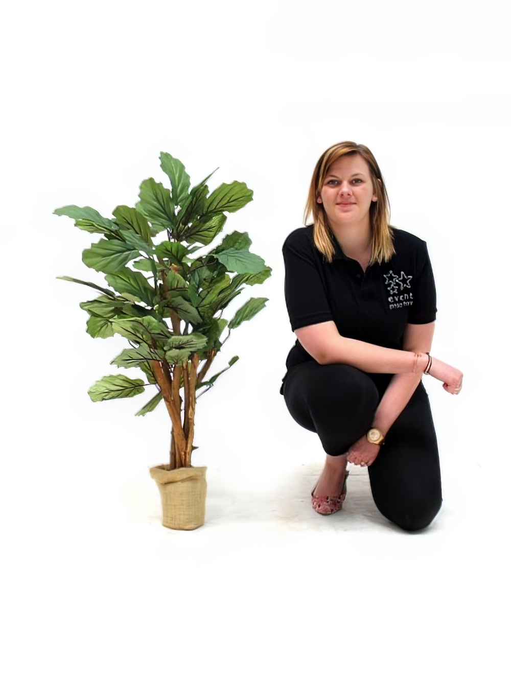 SN2305_Royal_Cabbage_Tree_Plant_event_prop_hire_0042Cabbage_Tree_copy_optimised
