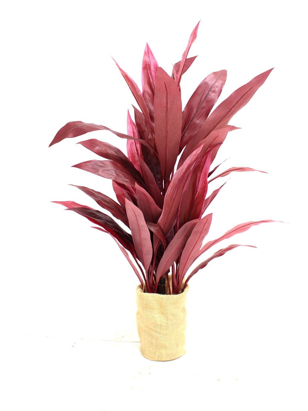 SN2306_Cordyline_Plant_event_prop_hire_0032Cordeline_copy_optimised