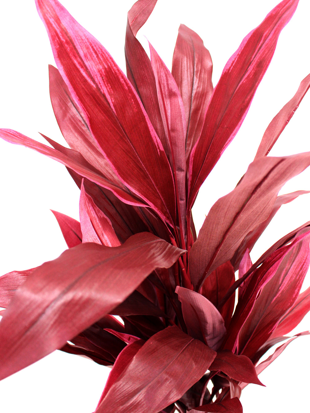 SN2306_Cordyline_Plant_event_prop_hire_0033IMG_3068_copy_optimised