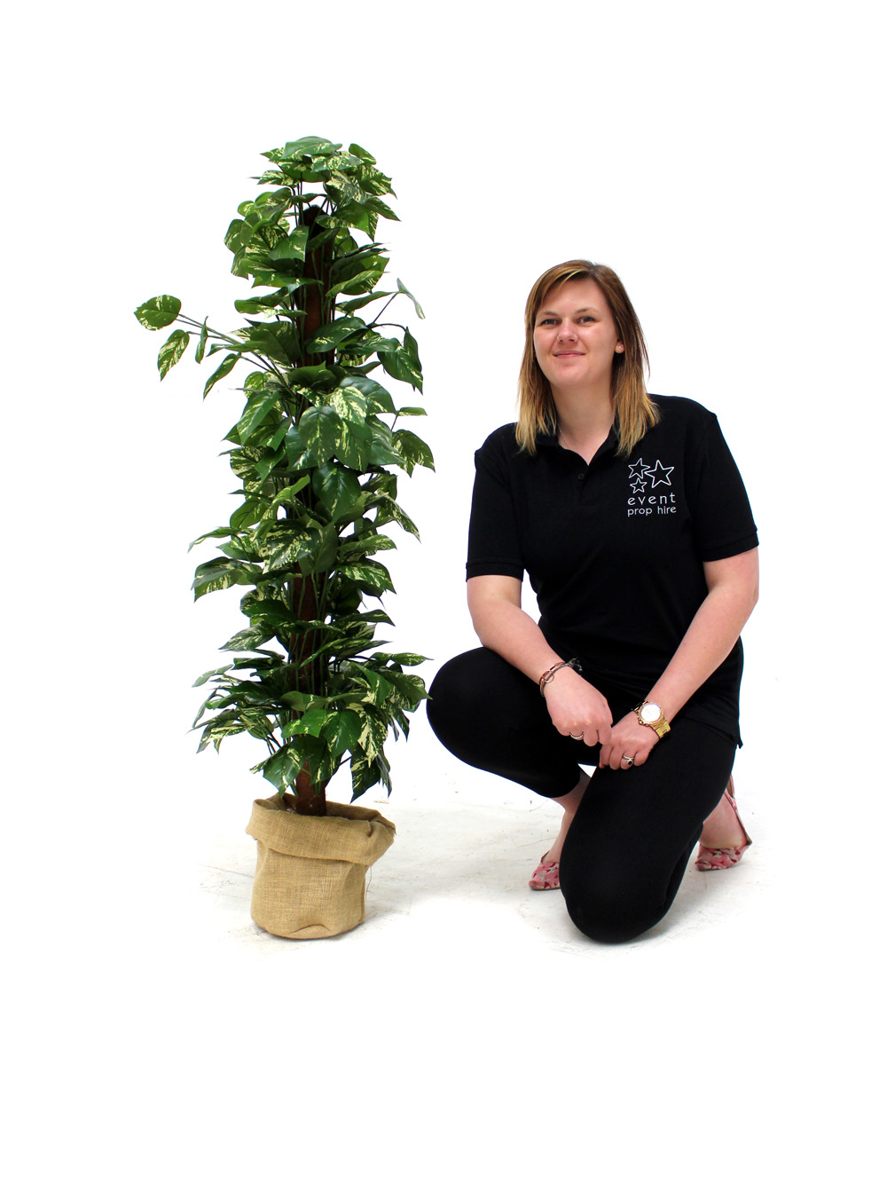 SN2308_Pothos_Variegated_Leaf_Plant_event_prop_hire_0051SW_412_copy_optimised