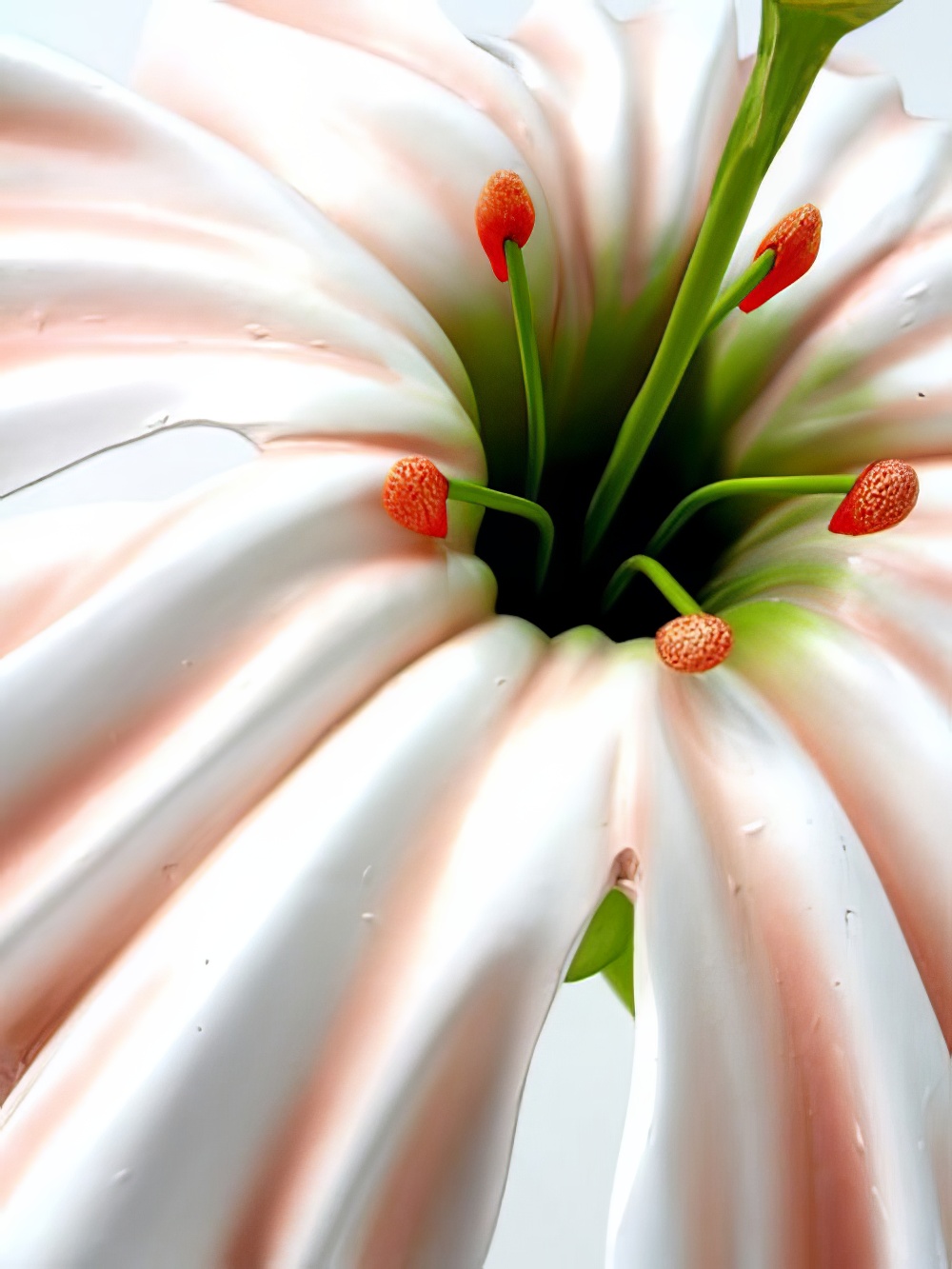 SN2352_White_Enchanted_Petunia_Flowerevent_prop_hire_LG_218_copy