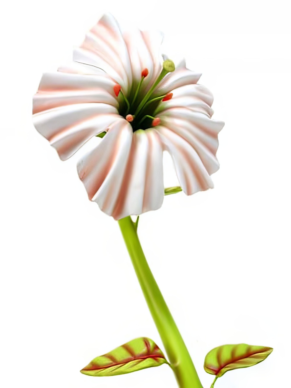 SN2352_White_Enchanted_Petunia_Flowerevent_prop_hire_LG_236_copy