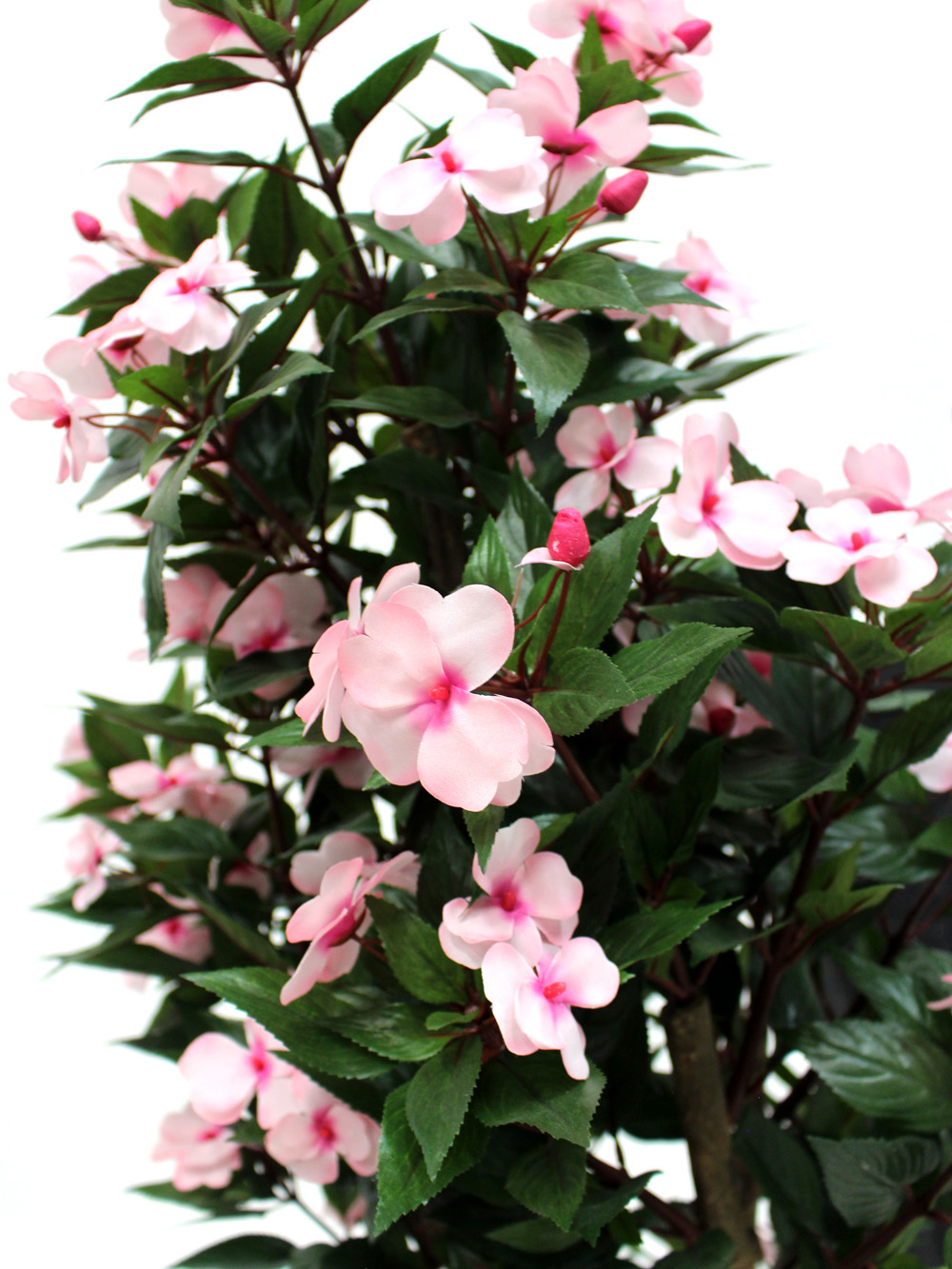 SN2449_Flowering_Impatiens_Plant_-_Pale_Pink_event_prop_hire_0013IMG_3868_copy
