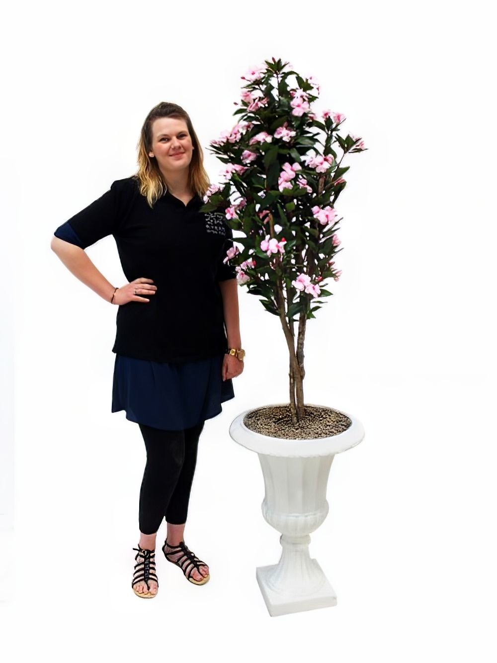SN2459_Flowering_Impatiens_Plant_-_Pale_Pink_event_prop_hire_0018IMG_3972_copy