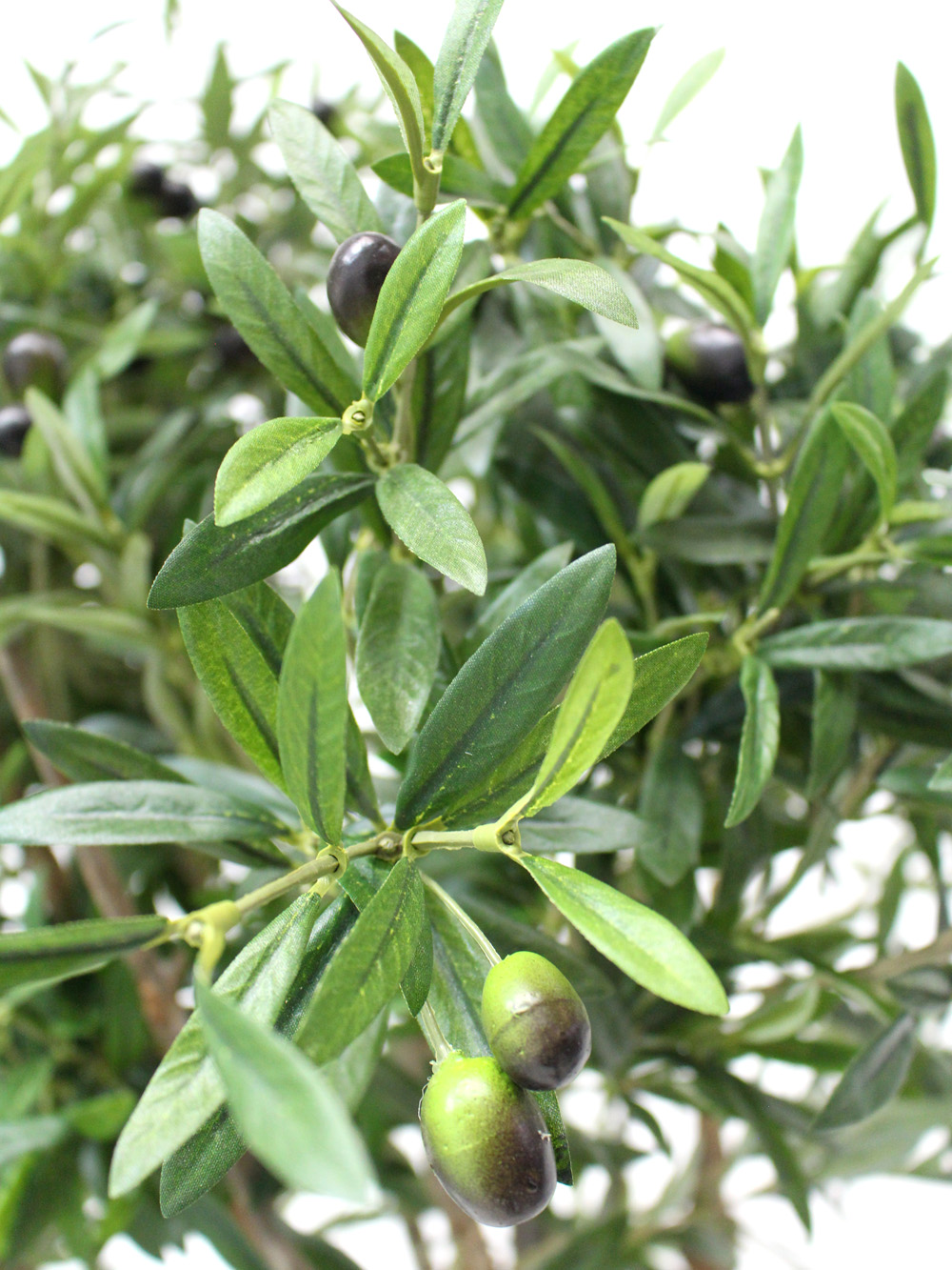 SN2465_Olive_Tree_in_Urn_event_prop_hire_0022IMG_3976_copy