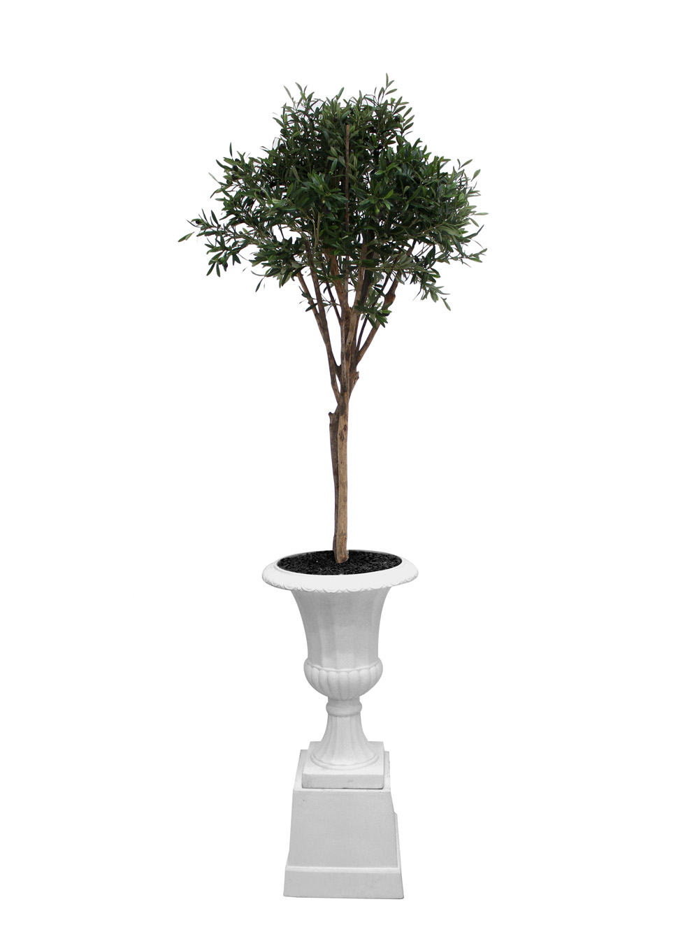 SN2465_Olive_Tree_in_Urn_event_prop_hire_0024IMG_3920_copy