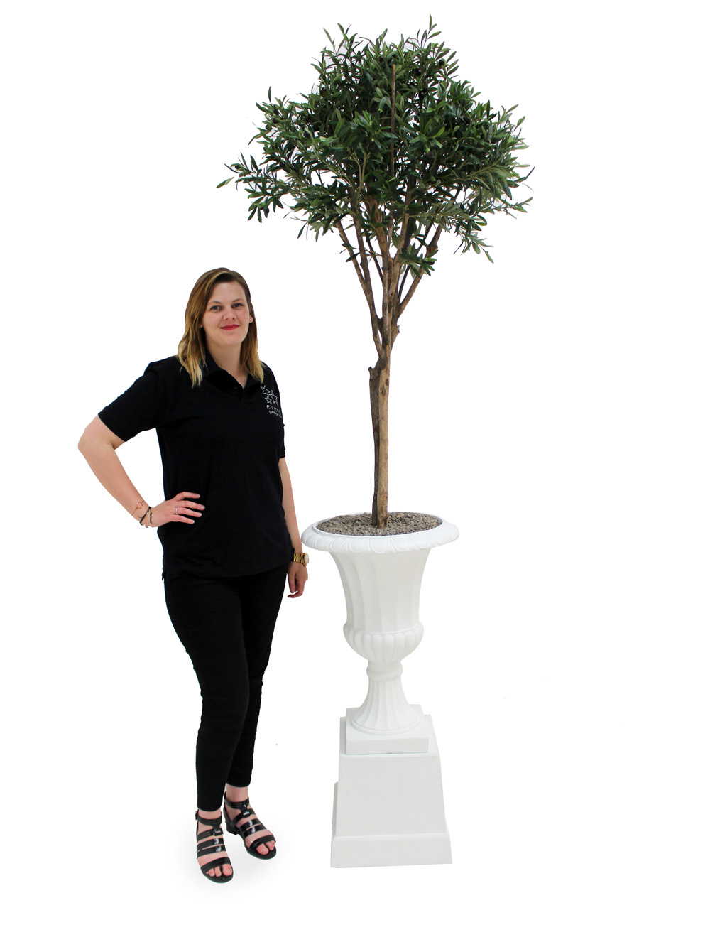 SN2465_Olive_Tree_in_Urn_event_prop_hire_0025IMG_3923_copy