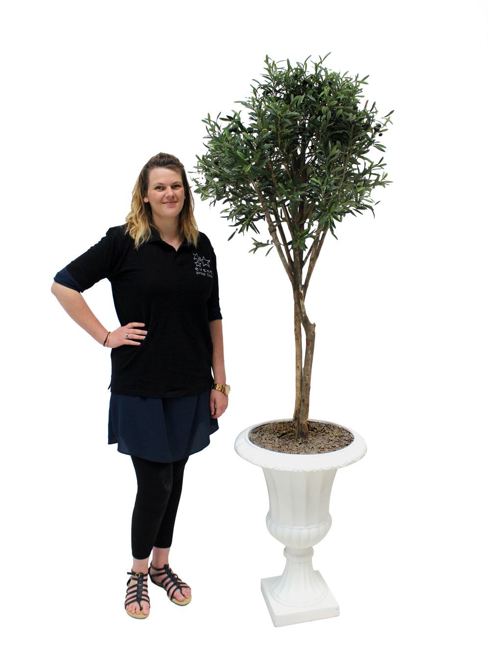 SN2465_Olive_Tree_in_Urn_event_prop_hire_0026IMG_3973_copy
